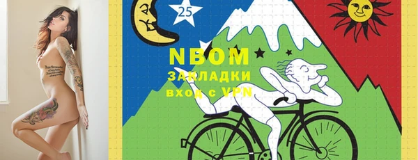 прущий лед Щигры