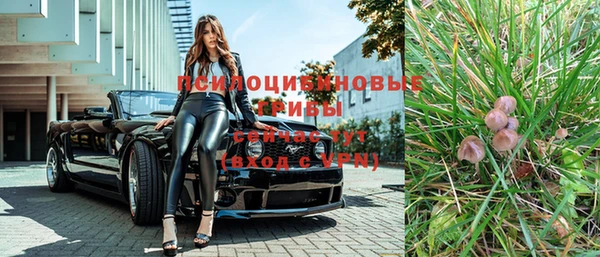 ГАЛЛЮЦИНОГЕННЫЕ ГРИБЫ Киренск