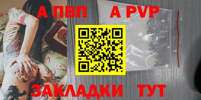 стафф Камышлов