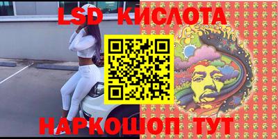 стафф Камышлов
