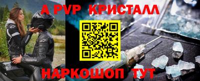 стафф Камышлов