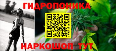 стафф Камышлов
