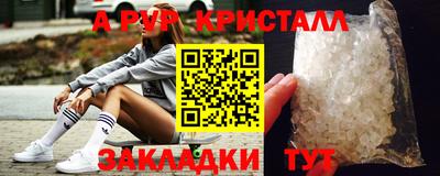 стафф Камышлов