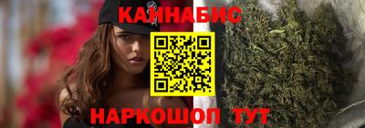стафф Камышлов