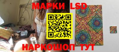 стафф Камышлов