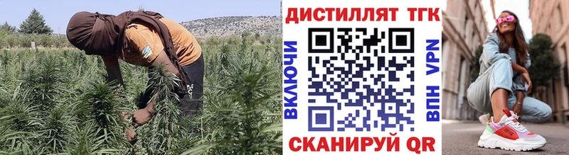 как найти   Нефтеюганск  ТГК вейп с тгк 