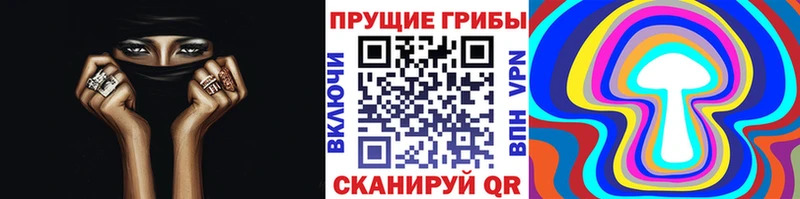 магазин продажи наркотиков  Нефтеюганск  Псилоцибиновые грибы Cubensis 